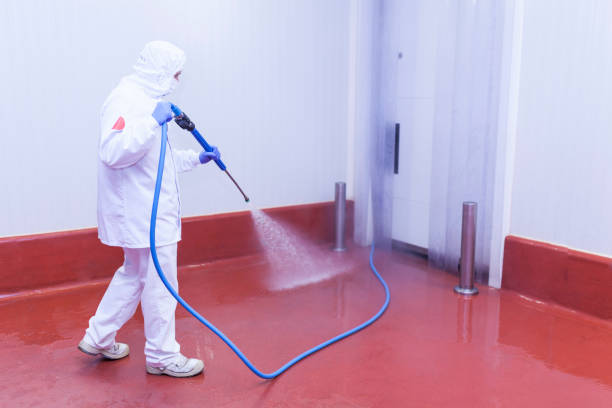 Best Window and Screen Pressure Cleaning in Manchester Center, VT